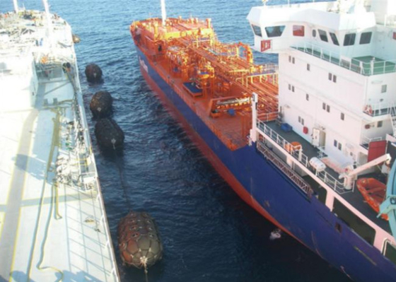 L'anti amortisseur en caoutchouc pneumatique ISO9001 en nylon de Collission Yokohama a certifié